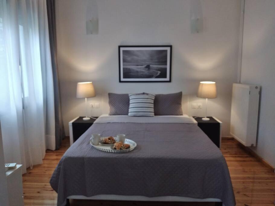 D4 Central Luxury Apartment ヴォロス エクステリア 写真
